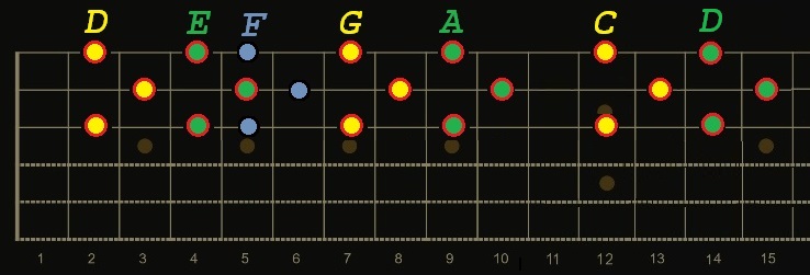D Chord shape